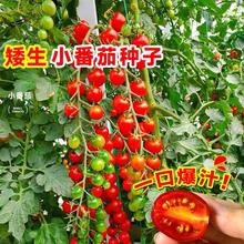 СѷNǧ}ŮNԷļ̨tNӴȫ