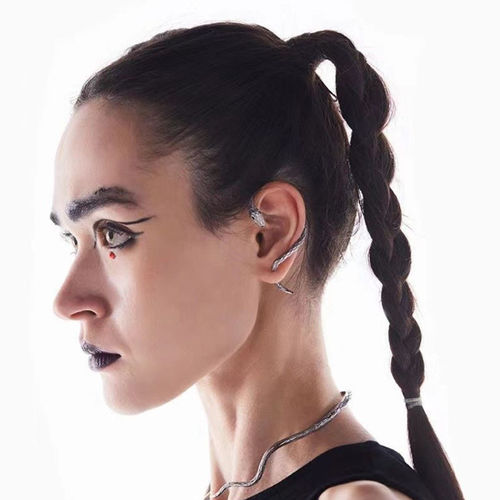 Snake earrings for women, retro, creative, trendy, male couples, niche design earrings, earrings, European and American style winding ear-hook type