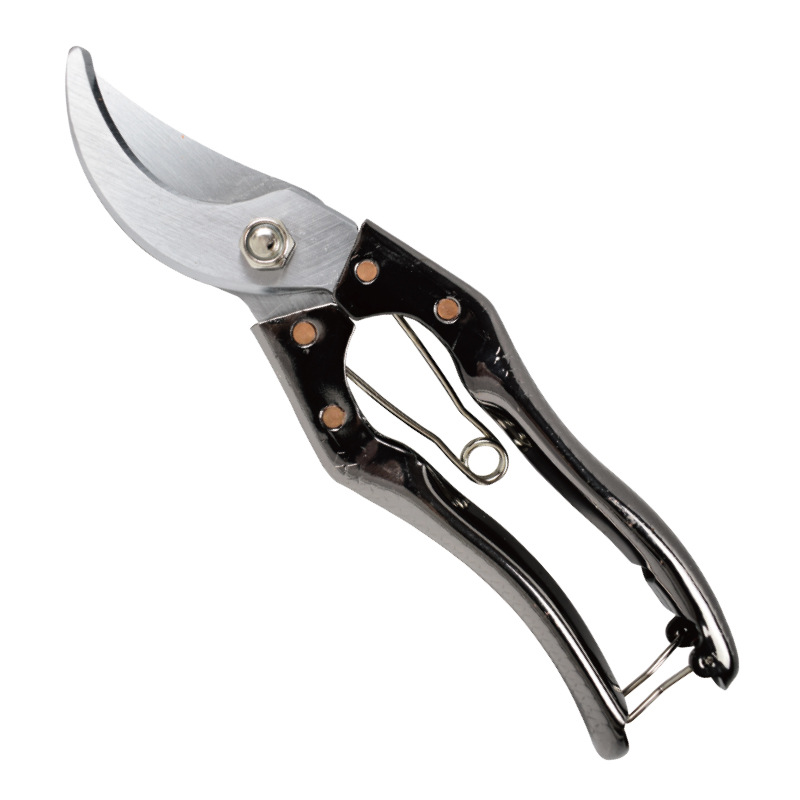 艾威博尔高材质园艺修枝剪家用户外多用途鸟嘴修枝剪159108