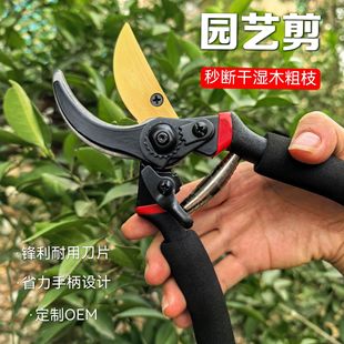 �ձ��Ӻ�SK5䓘�֦������������֦�@�ּ����Q�޼�������֦�����l