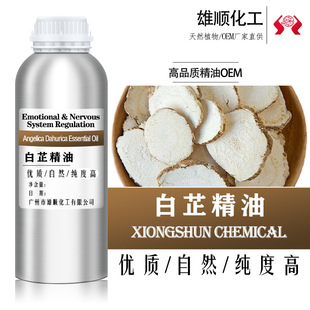 ������ �η����� ������ȡ��ș��  ���ƾ�����޹��Ħ�η�����