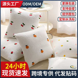 泰迪绒抱枕套ins风床头软包靠背垫客厅装饰靠枕沙发绣花抱枕定制