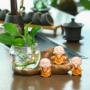 桌面水养水培可爱花瓶