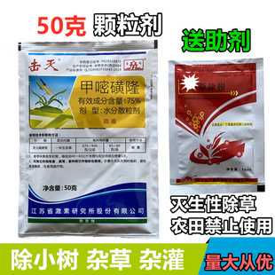 ���� ���݄� 75%�G�K���׻�¡   ���S �F· 50g