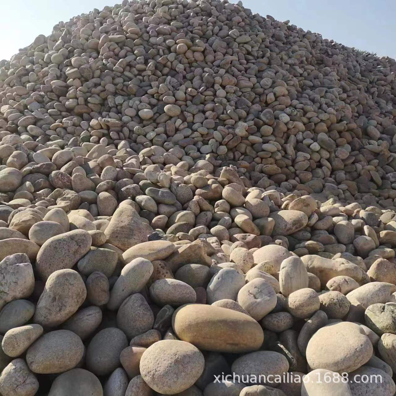 现货供应园林绿化铺绿 草坪驳岸点缀 变压器滤油 污水用鹅卵石