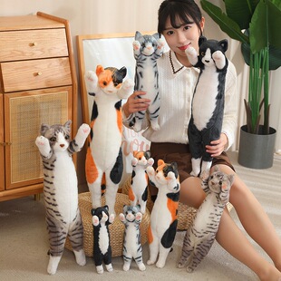 �ɐ۴���վ��؈�乫��ë�q�����ؔ؈������С̖��ͯ˯�X������ż