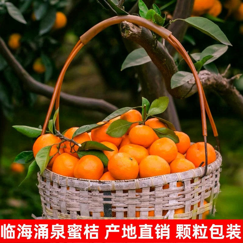 Linhai Yongquan Мандарин свежий апельсин 10 кг альпийские сезонные фрукты целая коробка Тайчжоу Хуанъянь Мандарин без косточек с тонкой кожурой