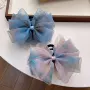 气质新款少女炫彩抓夹