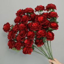 �tɫ��ˇ���[�O�ٻ�����õ��ĵ���������廨�b������m