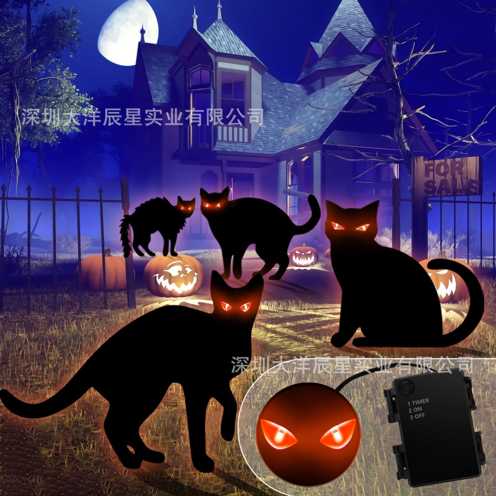 할로윈 검은 고양이 18