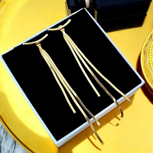 Metal tassel earrings for women summer long Korean style high-end earrings ins cool style niche design earrings