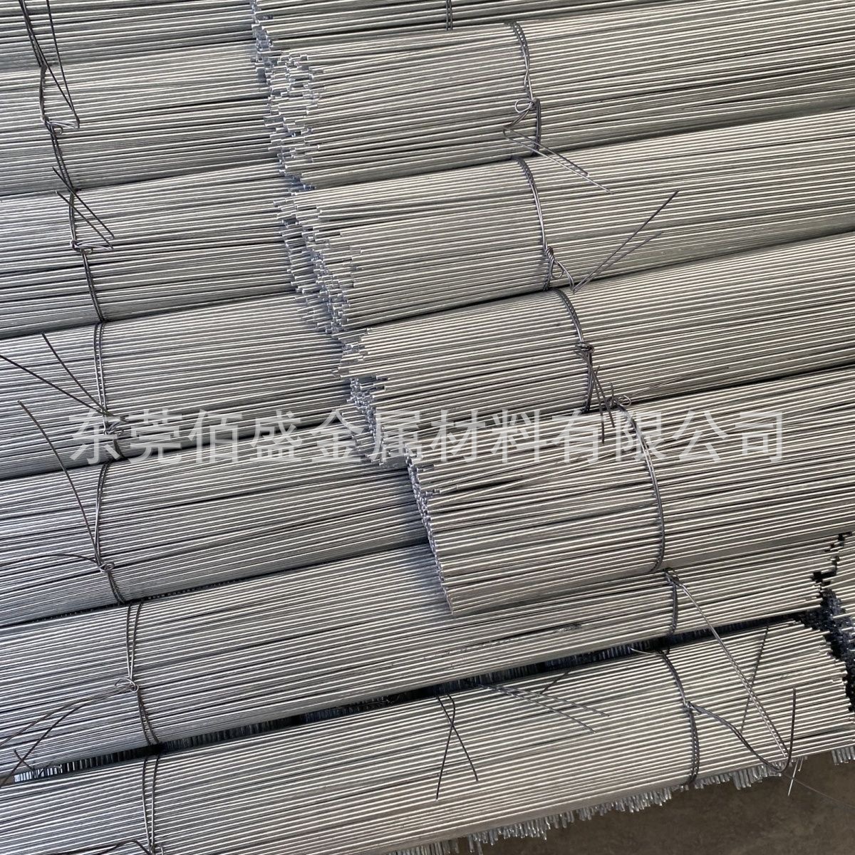 c8c48545e3bdb83cdc6956be8c03ee