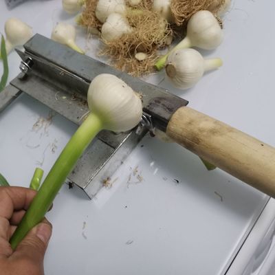 Garlic chopper Garlic Hay cutter Garlic Dedicated Hay cutter Household knife