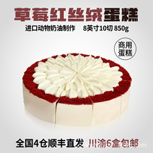 馥斓思薇草莓红丝绒慕斯蛋糕动物奶油商用冷冻甜品半成品西式点心