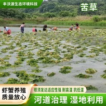 ��ݻ���ˮ���Ѻ�β��˯ɏ�����ܴ̳��G�����ˮ�|���Nֲ��ˮֲ��