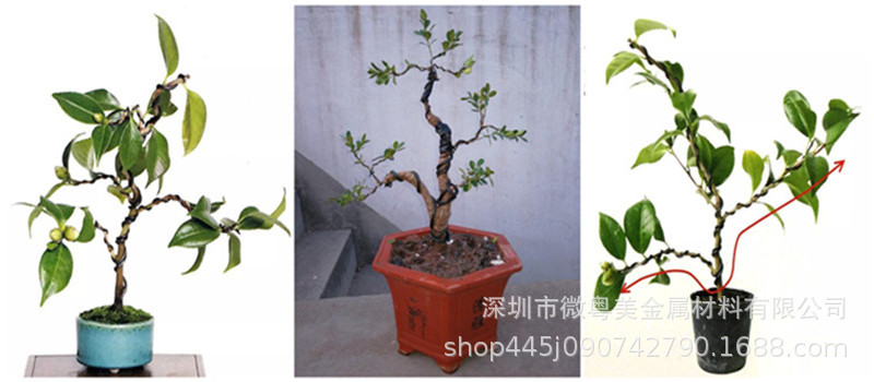 2展示用途_副本