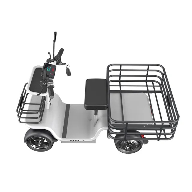 Motor Dual Motor Drive Four-Wheels Cargo Electric Scooter