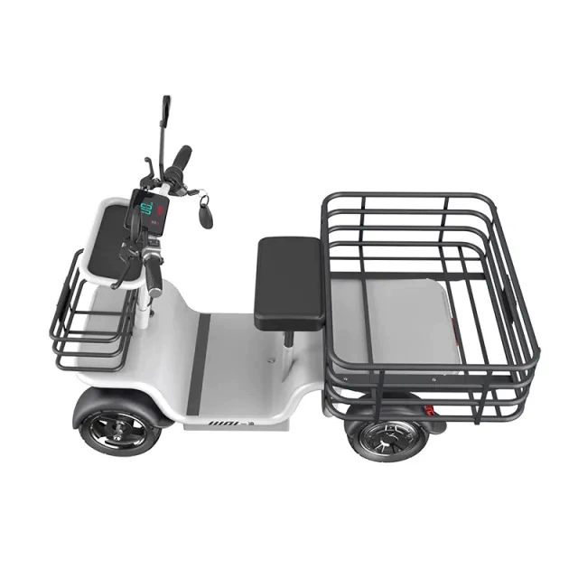 Motor Dual Motor Drive Four-wheels Cargo Electric Scooter