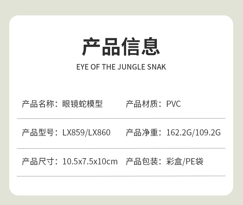 眼镜蛇_02.jpg