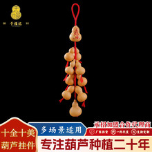 ��Ȼ���J������P�͏dӰҕ�����Һ��J�����]ʮȫʮ�����J���