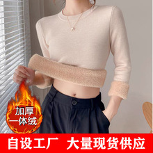 一体绒面料 加绒加厚圆领毛衣上衣秋冬针织衫2025保暖打底衫内搭