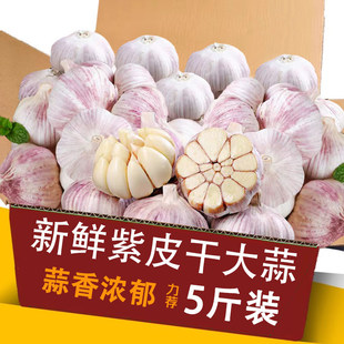 25������F�ڬF�l��Ƥ���r�����^�۝�������tƤ�r�������D����