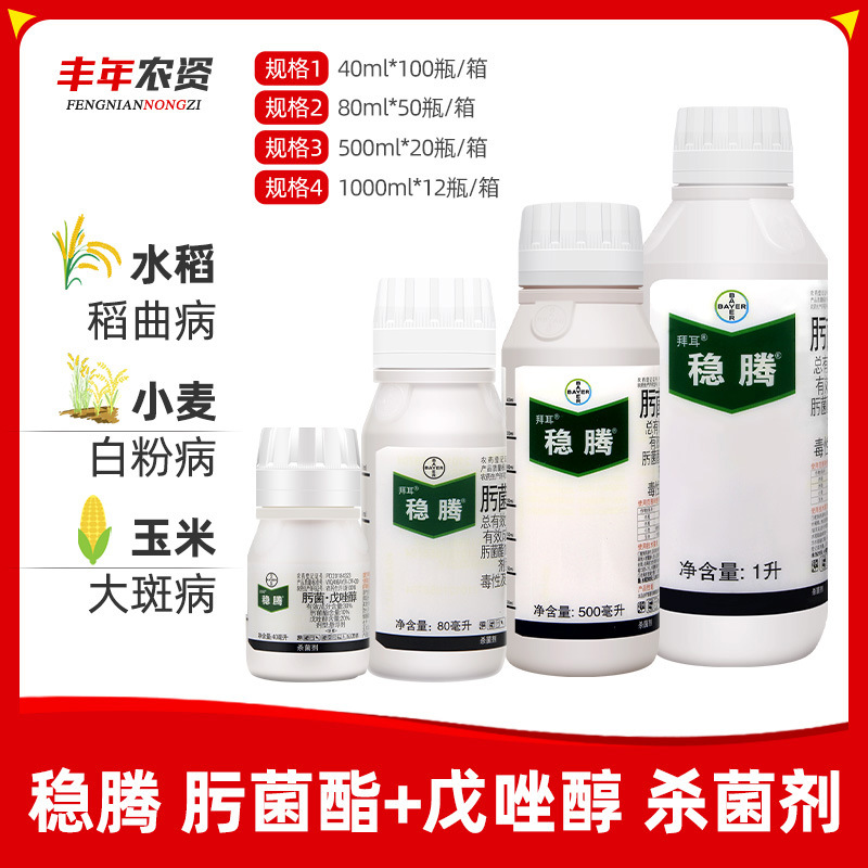 拜耳稳腾肟菌酯戊唑醇玉米小麦水稻稻瘟病白粉病大斑病杀菌剂