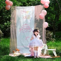小红书同款户外生日场景装饰网纱背景挂布10岁男女孩拍照道具布置