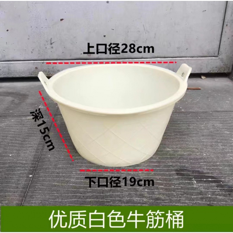 흰 쇠고기 힘줄 통 [깊이 15cm] 휴대용으로 적합하지 않음