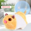 Yellow white hamster