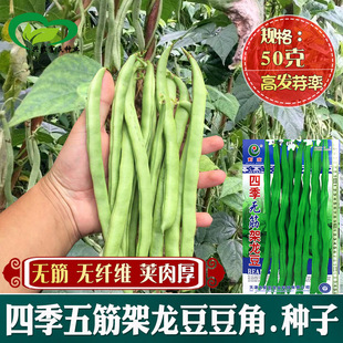 �ļ��o��������ǷN���r��ˈ@����o���w�S������v�L�����߲���