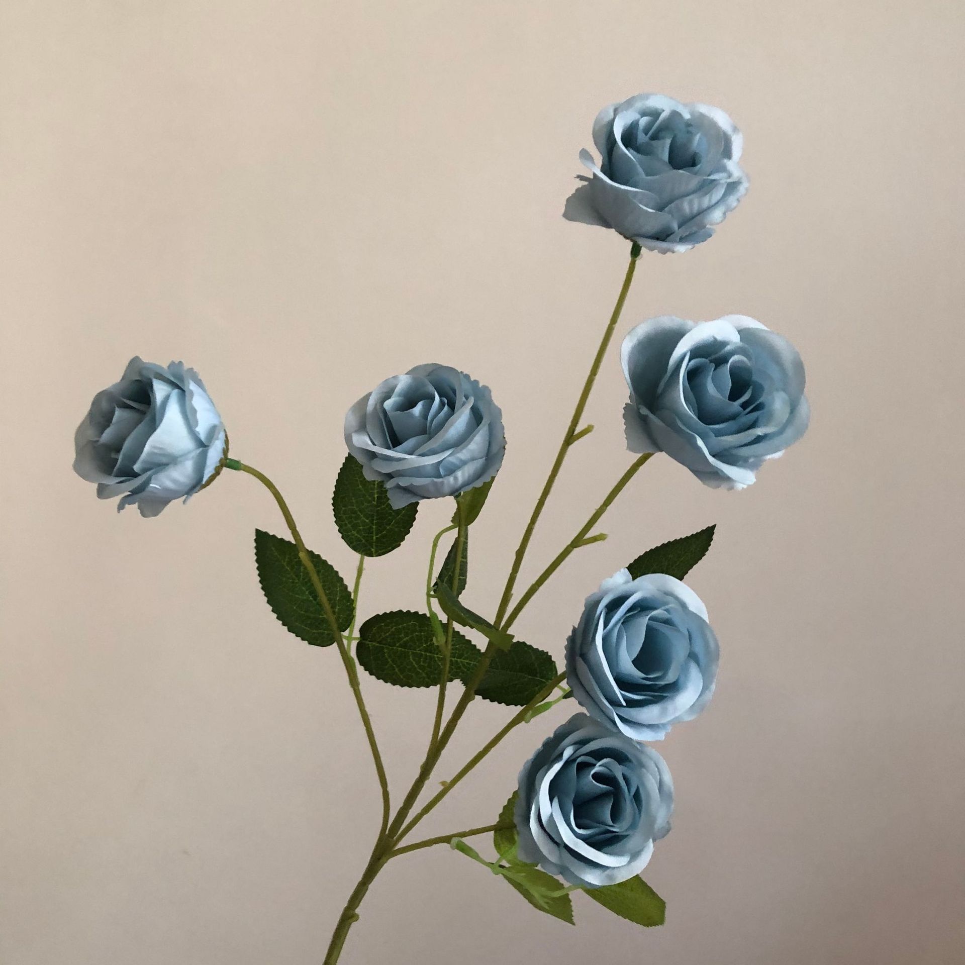 하늘색