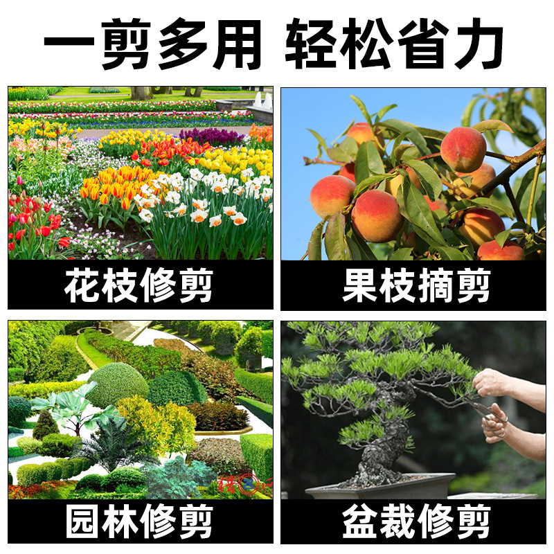 Household Pruning Shears Special Shears for Fruit Trees Flowers Garden Shears Stainless Steel Shears Branch Greening Grafting Garden Scissors 4