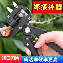 ����޽����¿���ľ��֦�޽�������֦�޽Ӽ����޽ӹ���ѿ�ӵ����b