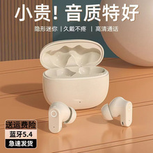 2025�¿������֮�o���{�����C����������ֵ�����|���L�m��