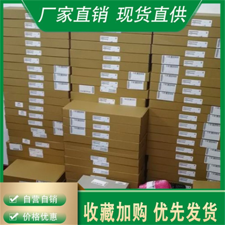 德国西门子进口 6SY7000-0AD51 6SY7000-0AD50 大功率传动