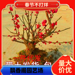 һ�����lͥԺ���� �D÷ �t÷ ��÷ �G÷ ��÷ �����D÷����÷����