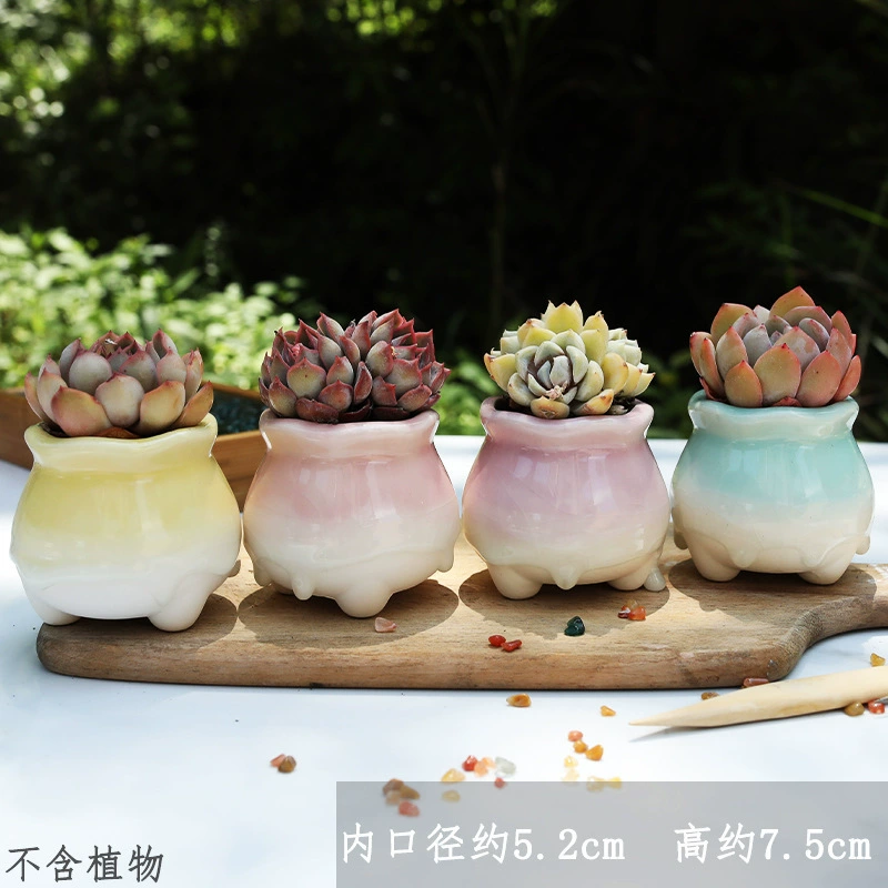 Мясо цветочный горшок с ледяными трещинами