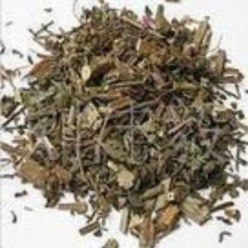 新货马鞭草 批发 马鞭草  各种规格 支持检