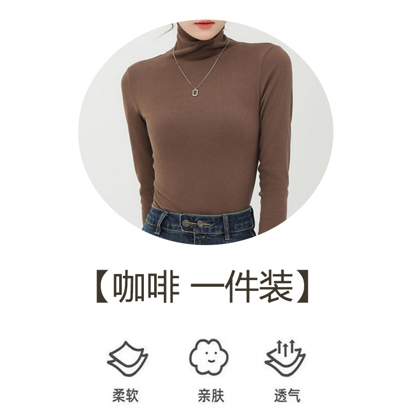 터틀넥 브라운