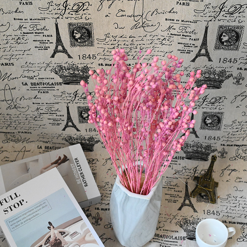 Preserved flowers, eternal flowers, dried flowers, opulent beans, longing beans, DIY material kit, glass cover, Qixi gift, decorative piece
