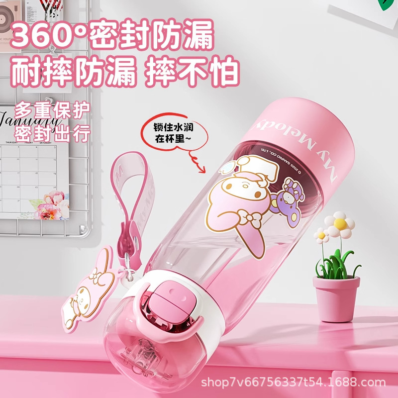 三丽鸥儿童水杯上学专用夏季新款2025高颜值女孩外出便携吸管杯子|undefined