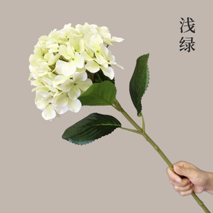 ���潑�� 65cm ���^ 20cm ��c��Y���üҾ�ܛ�b�廨�ٽ���
