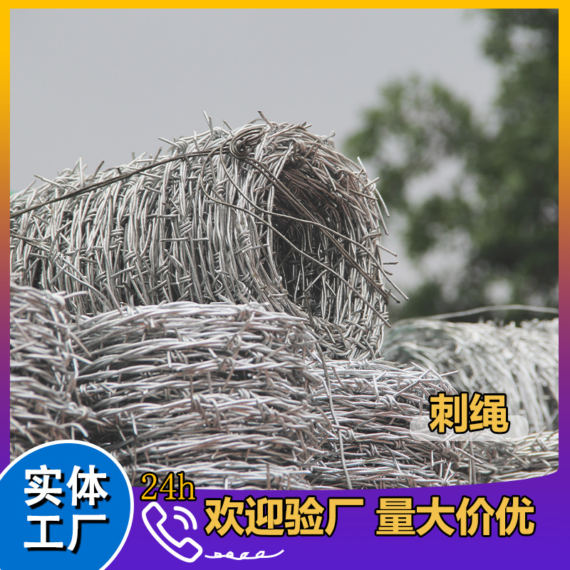荆棘刺绳滚刺笼带刺镀锌铁丝围网防攀爬防盗防跨越双股刀片多股线