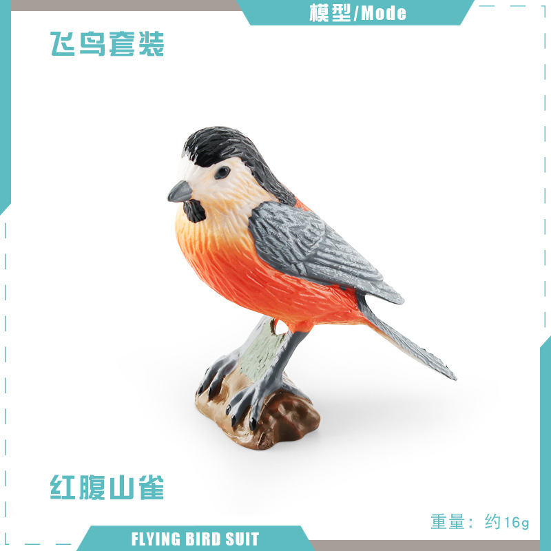 Pájaro Rojo PL127-2723 de la colina del vientre 16g