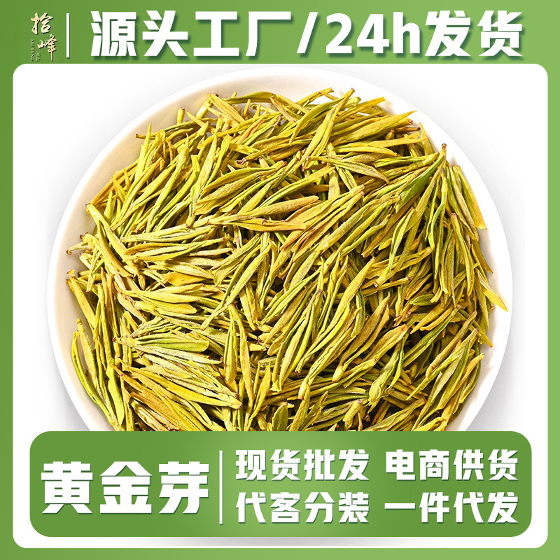 浙江2026年新茶明前茶春茶绿茶安吉工艺浓香型黄金芽茶叶批发散装