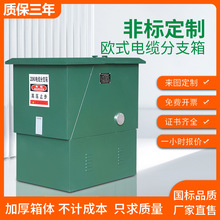 �߉���֧��10KV�Wʽ��|��֧��dfw-12630a�������һ�M���������