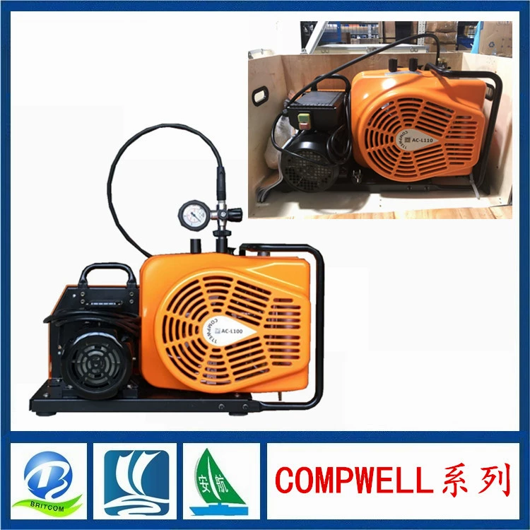 Поставка COMPWELL Серии Компрессора Канада импортировала пневматический насос L110-T трехфазный 380V