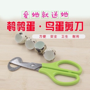 Quail egg scissors stainless steel scissors egg cutter bird egg opening shell scissors egg shell opening divider kitchen scissors