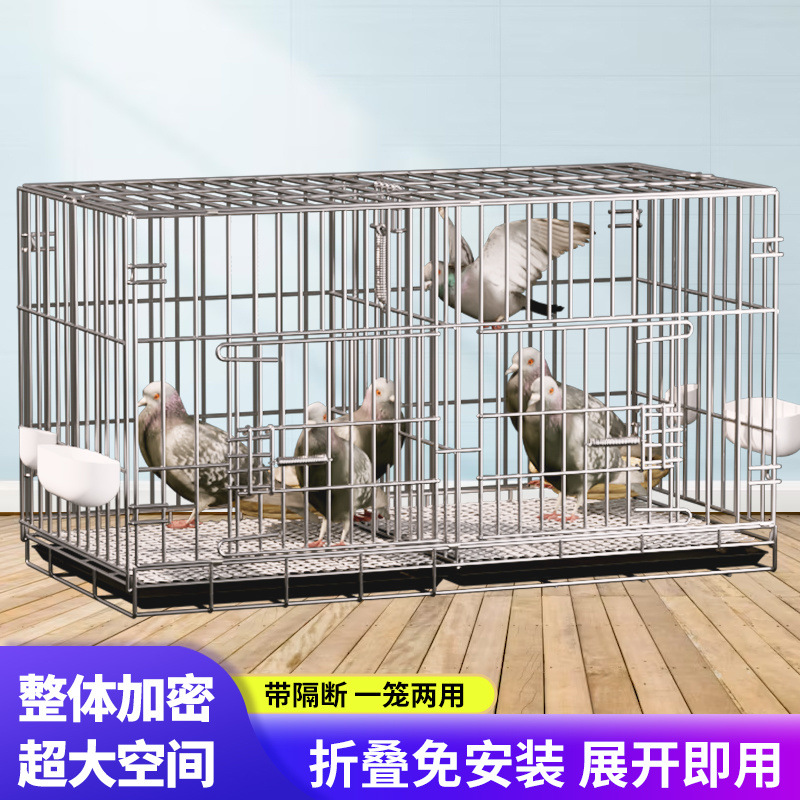 d8e5006e-e0ad-46af-b80f-b469980883f0.jpe